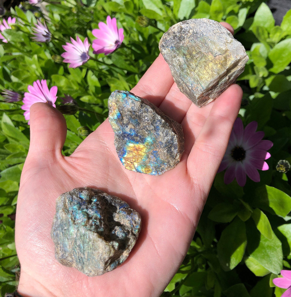 Labradorite Crystal Natural